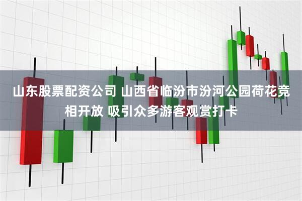 山东股票配资公司 山西省临汾市汾河公园荷花竞相开放 吸引众多游客观赏打卡