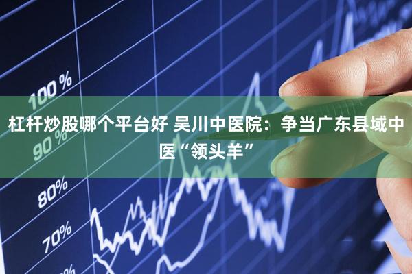 杠杆炒股哪个平台好 吴川中医院：争当广东县域中医“领头羊”
