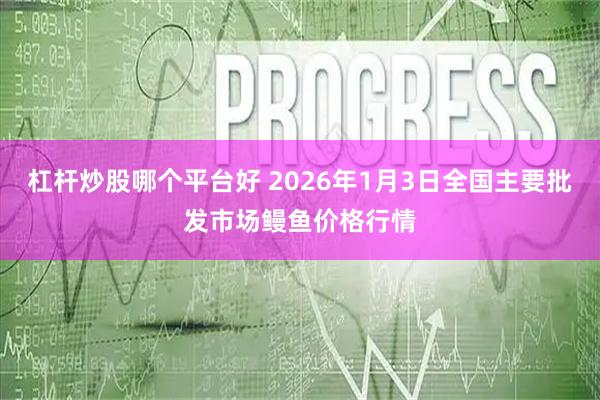 杠杆炒股哪个平台好 2026年1月3日全国主要批发市场鳗鱼价格行情
